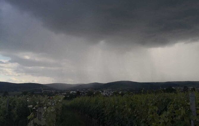 Wetter