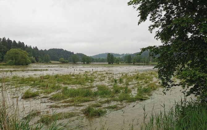 Lein Hochwasser