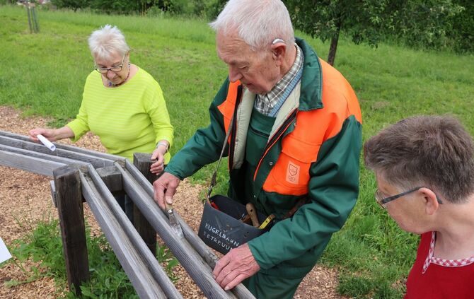 Herzogliche Kugelbahn in Stetten