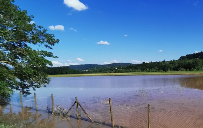 Überschwemmte Wiese