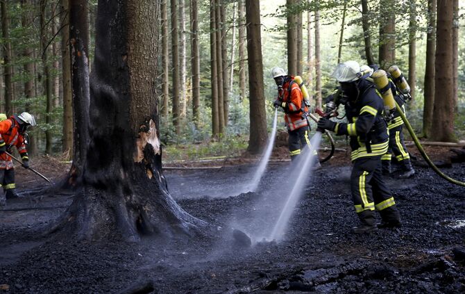 Waldbrand