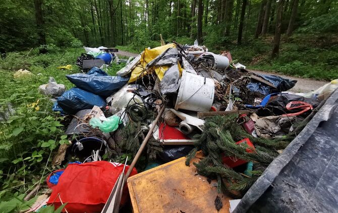 missing_title_1718883002