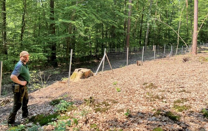 Wald Wupp Tage Förster Julian Schmitt