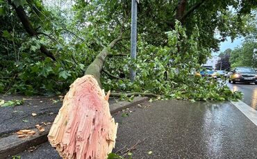 WhatsApp Image 2024-06-28 at 13.34.46