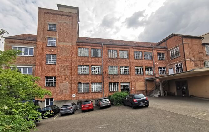 Mauersegler im Gebäude Diakonie Stetten Oppenländer Straße