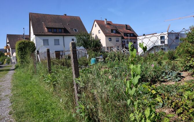 KleingartenGoethestrasse