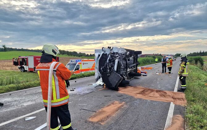 WhatsApp Image 2024-07-27 at 07.51.43