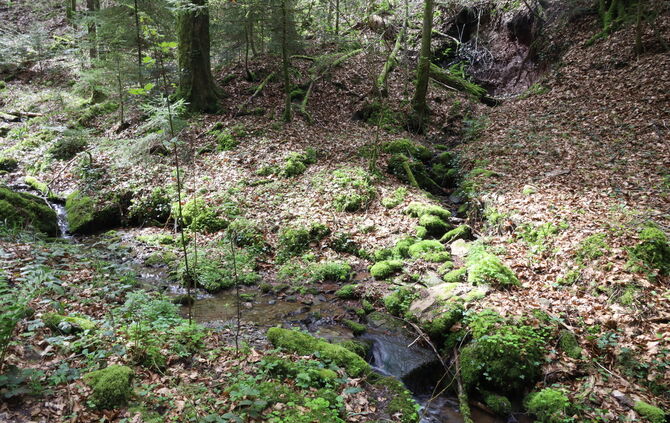 Franzenklinge Murhardt