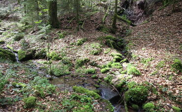 Franzenklinge Murhardt