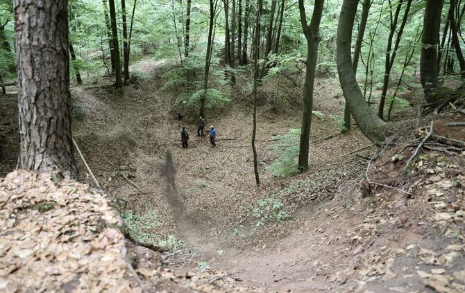 Mountainbike im Wald