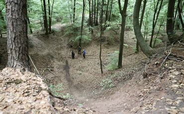 Mountainbike im Wald