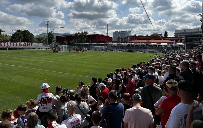 VfB Training Andrang