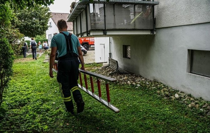 Leguan Freddy auf Entdeckungstour – Feuerwehr holt ihn vom Baum - Bild 10_9