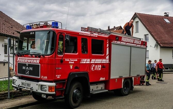 Leguan Freddy auf Entdeckungstour – Feuerwehr holt ihn vom Baum - Bild 14_13