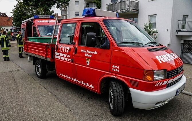 Leguan Freddy auf Entdeckungstour – Feuerwehr holt ihn vom Baum - Bild 18_17