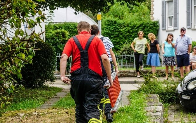 Leguan Freddy auf Entdeckungstour – Feuerwehr holt ihn vom Baum - Bild 19_18