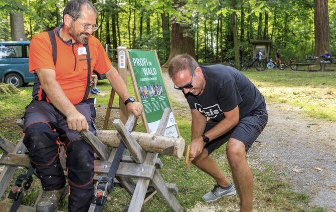 Tag des Schwäbischen Waldes