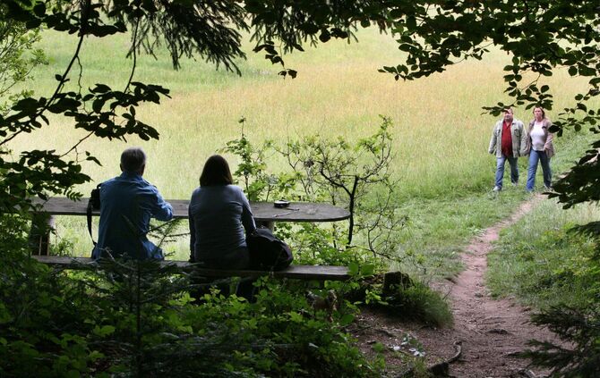Muehlentag vom 12.6.2011 im welzheimer wald