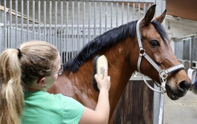 Reitverein Waiblingen