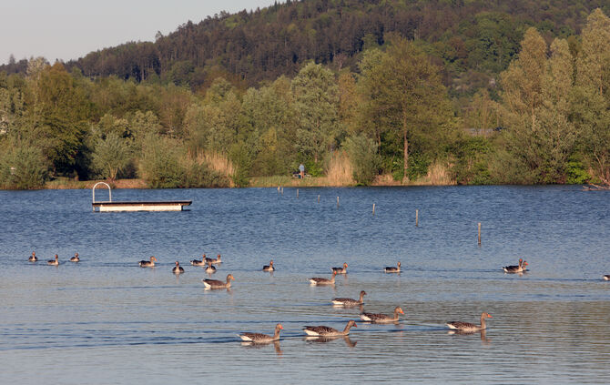 Schmuckibadeseestille