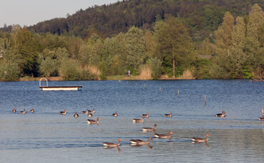 Schmuckibadeseestille