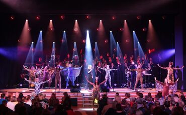 Chocolate Gospel Coir 