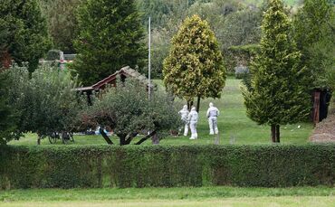 WhatsApp Image 2024-09-25 at 15.24.53 (1)