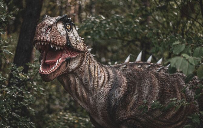 Sebastian Ganso - Pixabay - dinosaur-7494195_1920