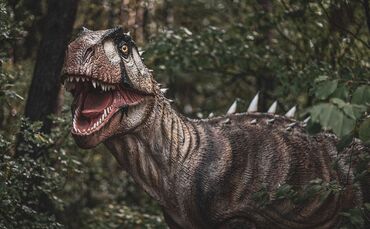 Sebastian Ganso - Pixabay - dinosaur-7494195_1920