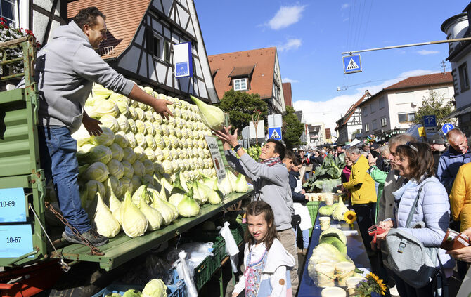 Leinfelden-Echterdingen, Filderkrautfest 2023