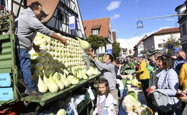 Leinfelden-Echterdingen, Filderkrautfest 2023