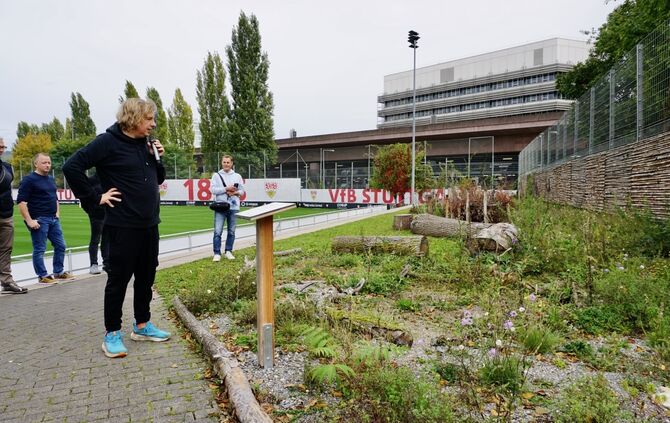 Dominik Eulberg beim VfB