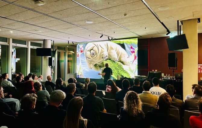 Dominik Eulberg beim VfB