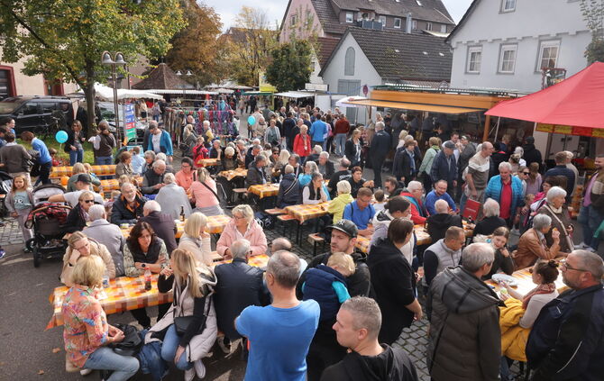 20241020141009_0Y0A0595