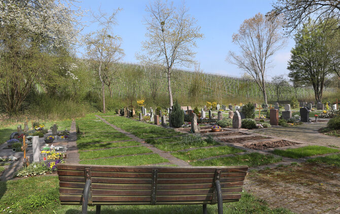 Friedhofweinberg