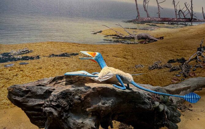 3_Rekonstruierter_Lebensraum_Dorygnathus_SMNS_L.Reinoehl