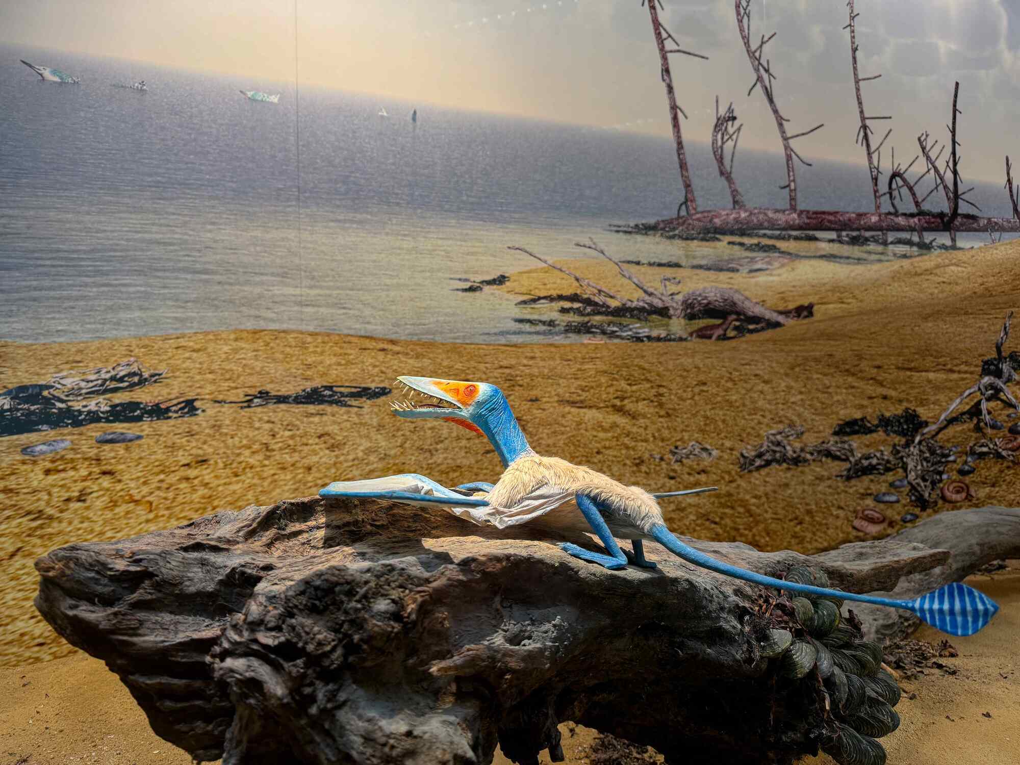 Stuttgart researchers with new findings: What pterosaurs ate
