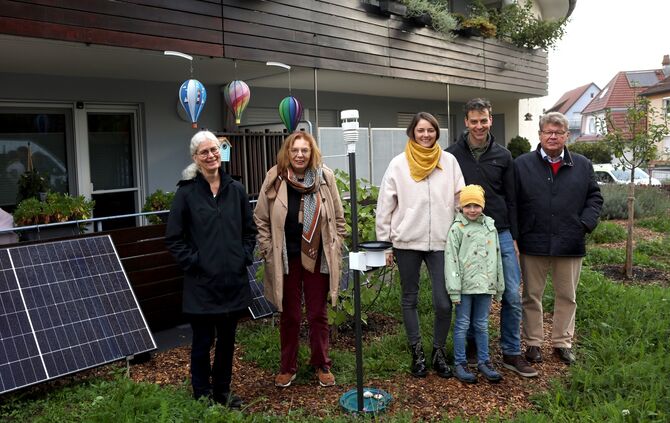 artenfreundliche Blühwiese