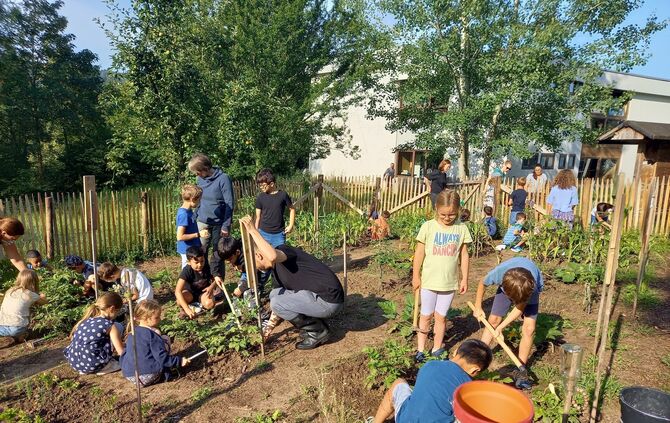 Gemüseackerdemie in der Hohbergschule Plüderhausen