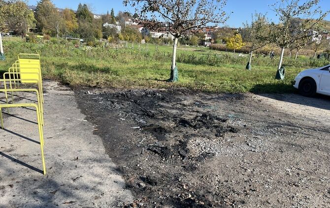 2024_11_01_Vandalsmus Bürgerpark_Fotos Stadt Weinstadt 4