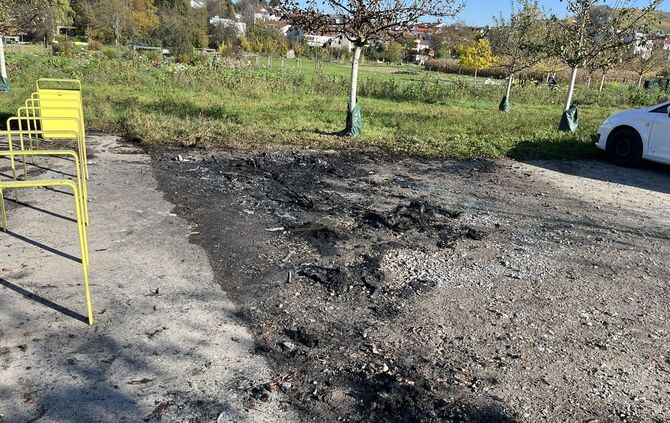 2024_11_01_Vandalsmus Bürgerpark_Fotos Stadt Weinstadt 4