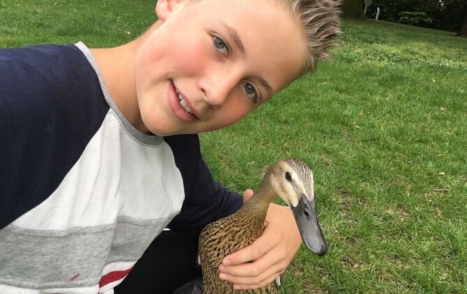 ente