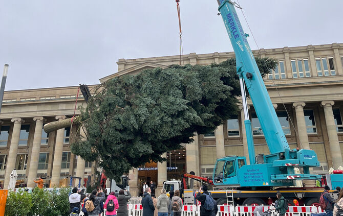 24_11_08_Weihnachtsbaum_Schlossplatz_2