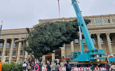 24_11_08_Weihnachtsbaum_Schlossplatz_2