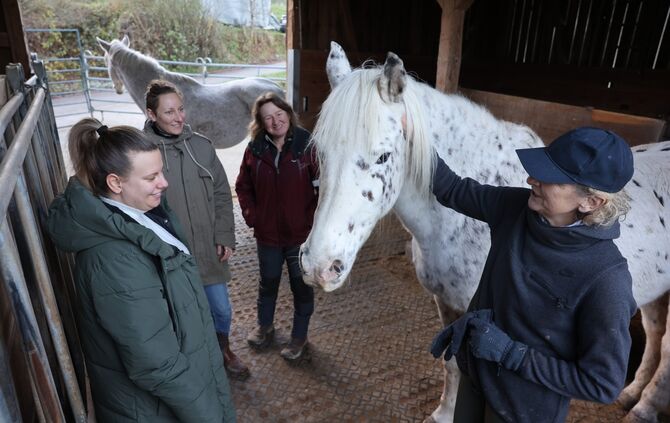 Gnadenhof Miedelsbach