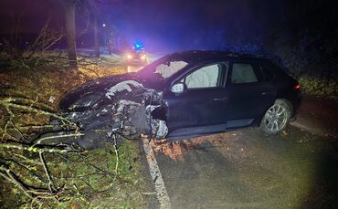 a164695e-4788-4db0-bb30-395284a016cd