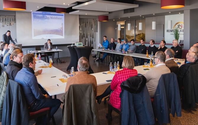 Brachflächen in den Weinbergen