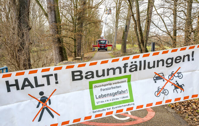 Baumfällarbeiten - abgesperrter Fußweg an der Rems beim VfL-Biergarten, Waiblingen, 04.12.2024.