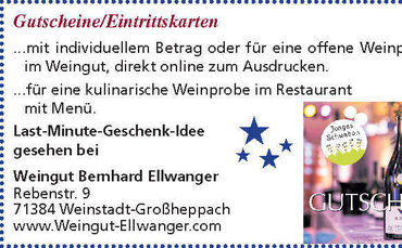 Sammelmappe1.pdf_Seite_21