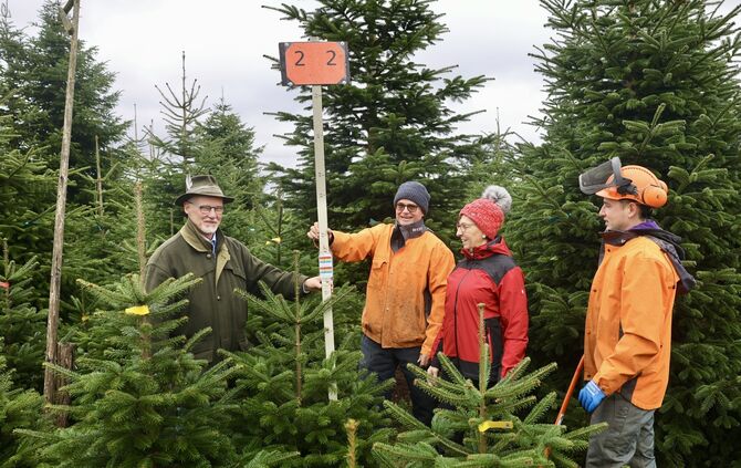 Weihnachtsbaumbetrieb Kleinhanß in Alfdorf Brech